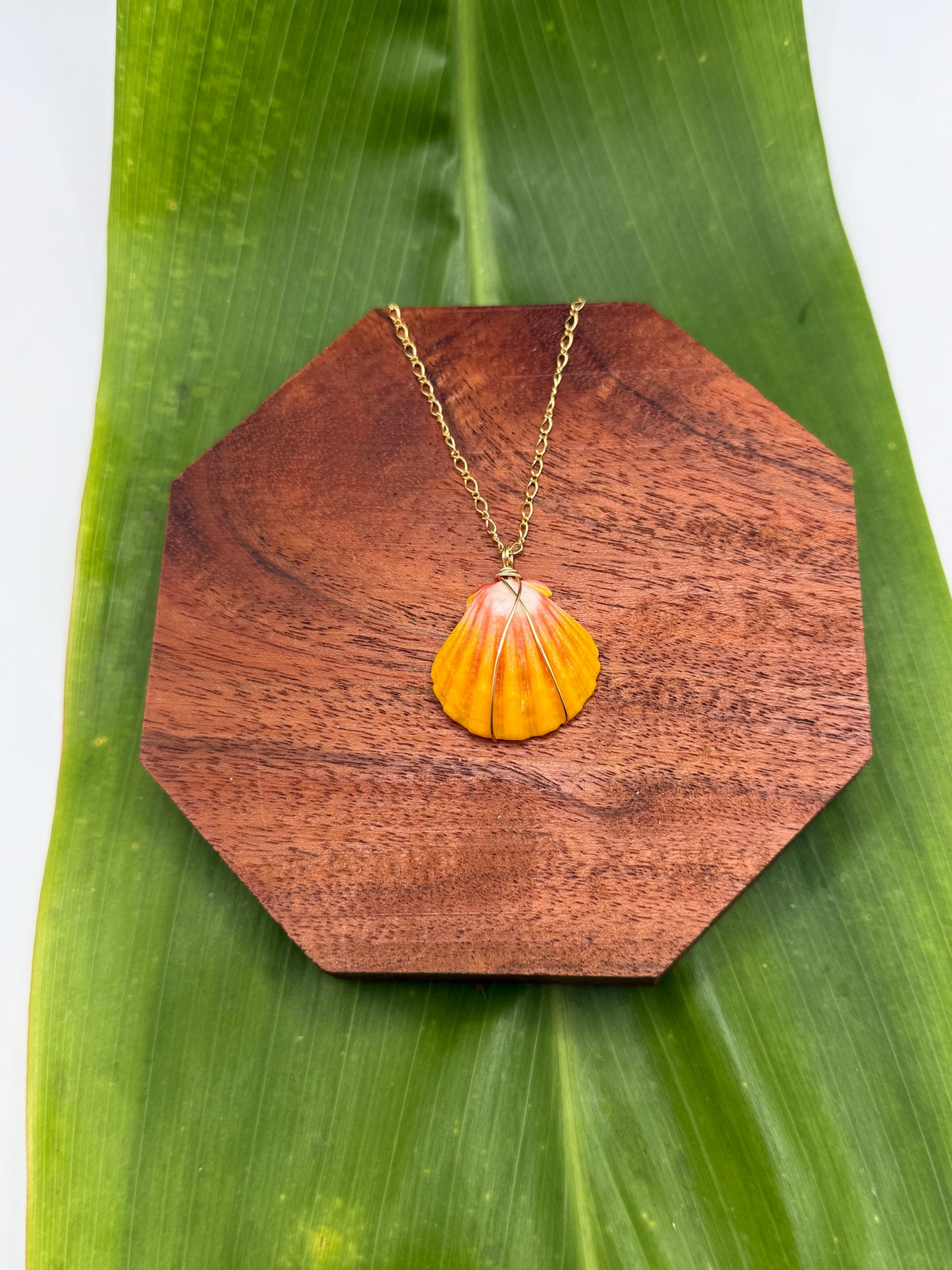 Sunrise Shell Necklace