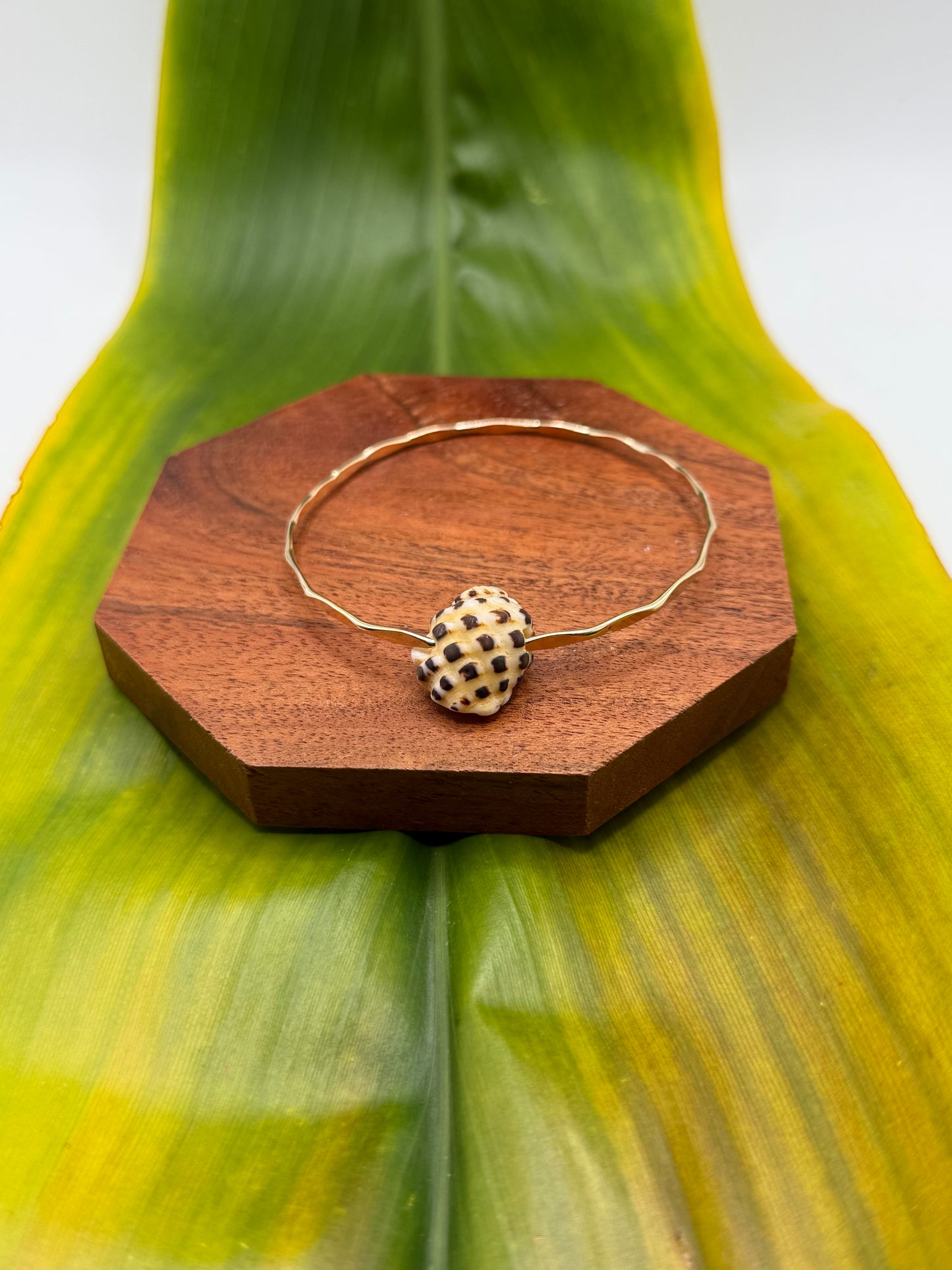 Tahitian Bangle Size 8" Gold Filled