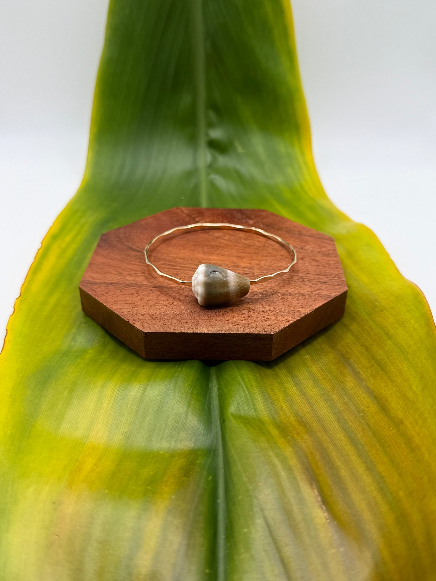 Tahitian Bangle Size 7.5" Gold Filled