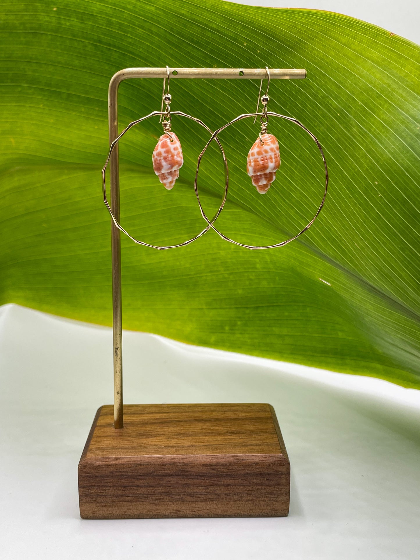 Miter Shell Hoops