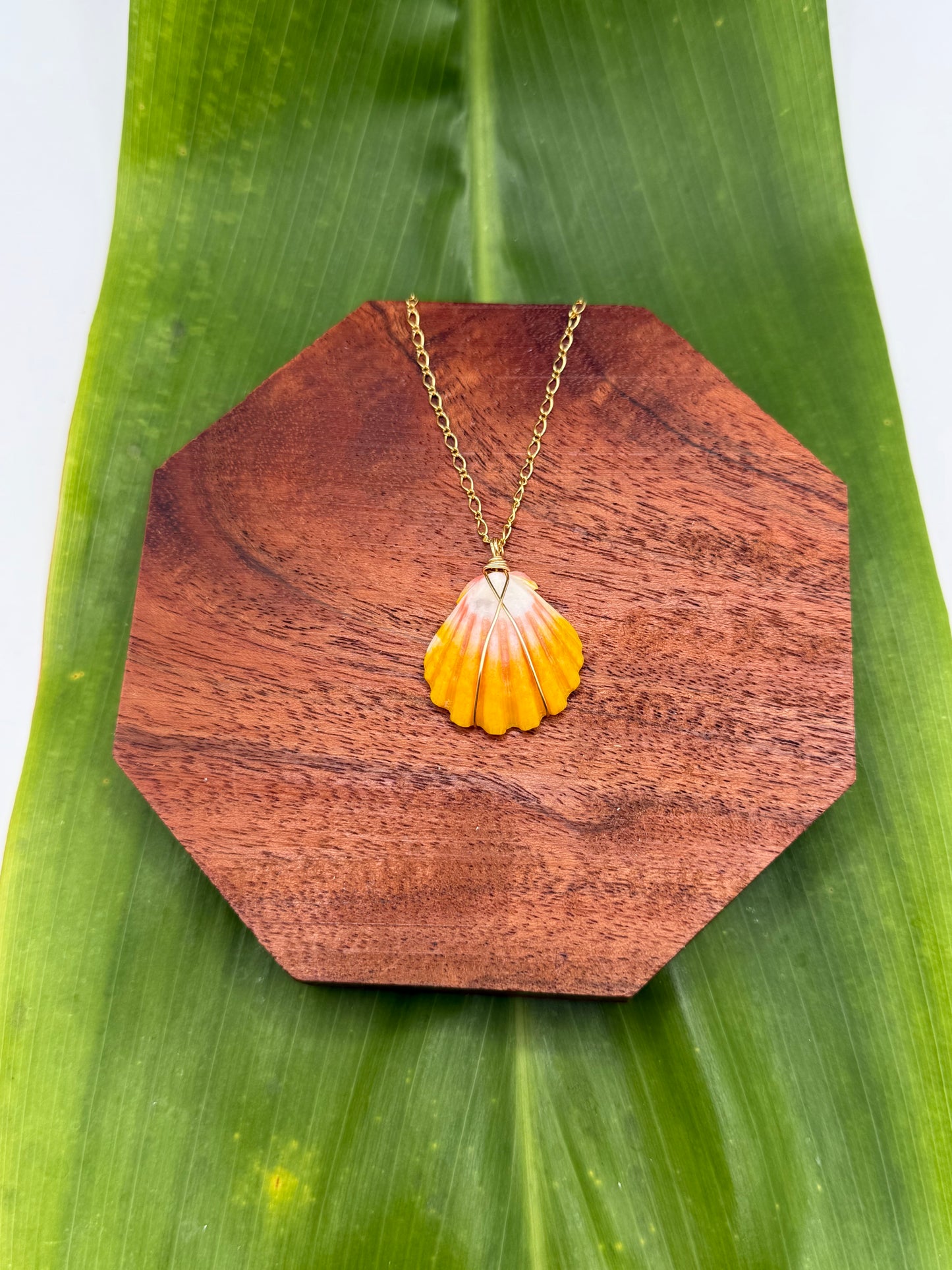 Sunrise Shell Necklace