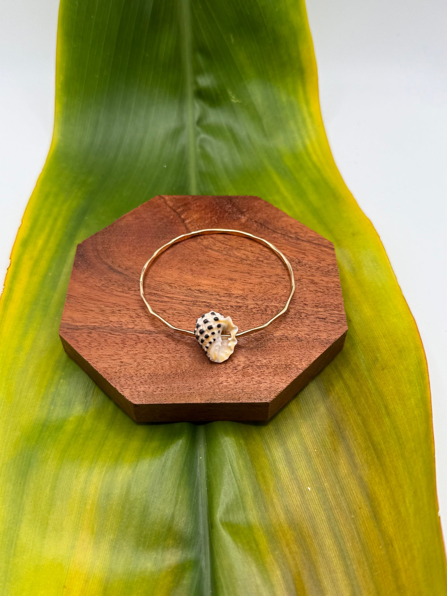 Tahitian Bangle Size 7" Gold Filled