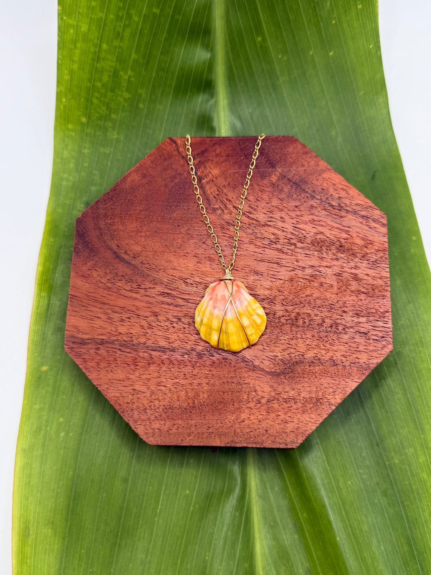 Sunrise Shell Necklace