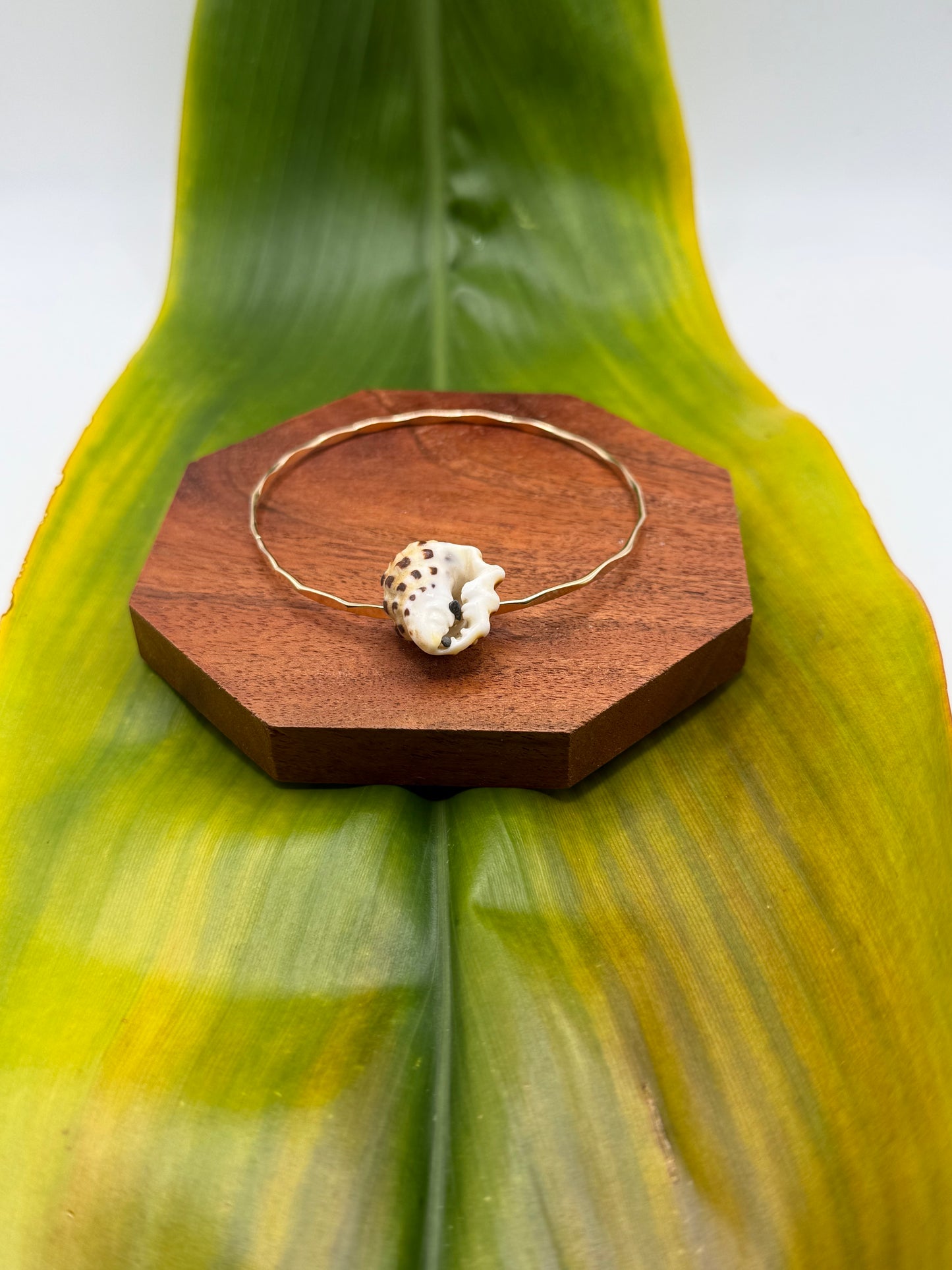 Tahitian Bangle Size 8.5" Gold Filled