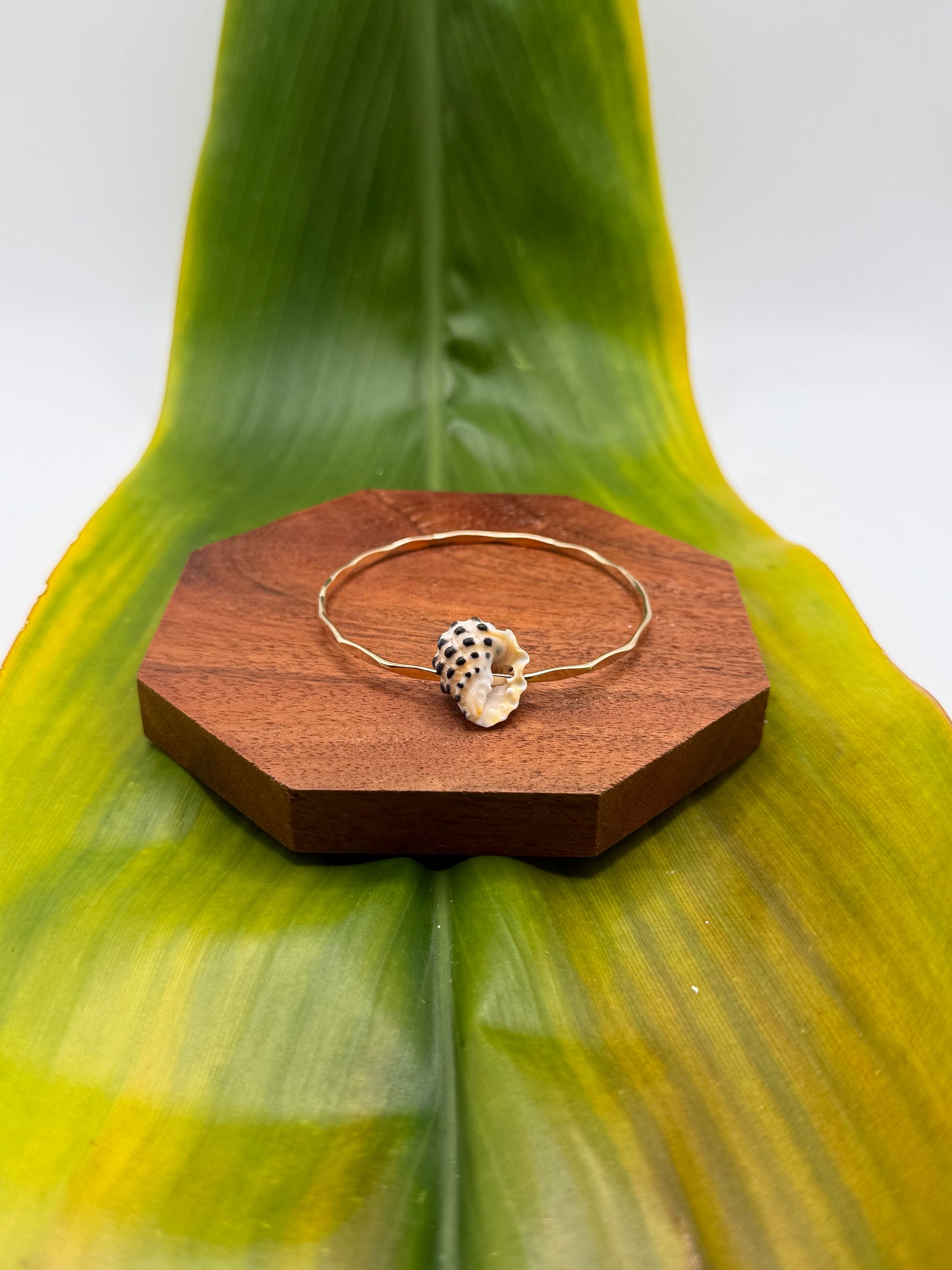 Tahitian Bangle Size 7" Gold Filled