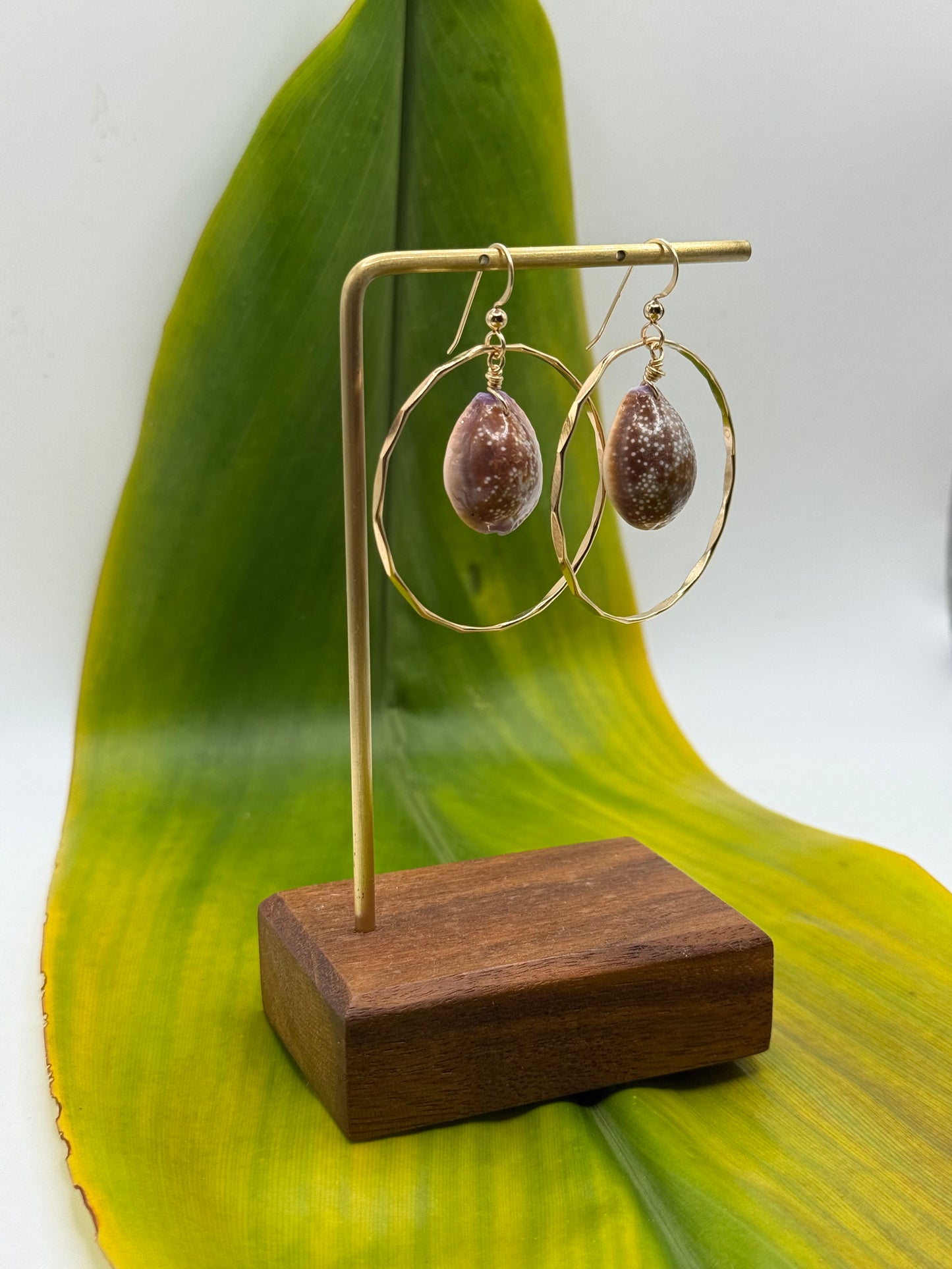 Cone Shell in Hoops Medium