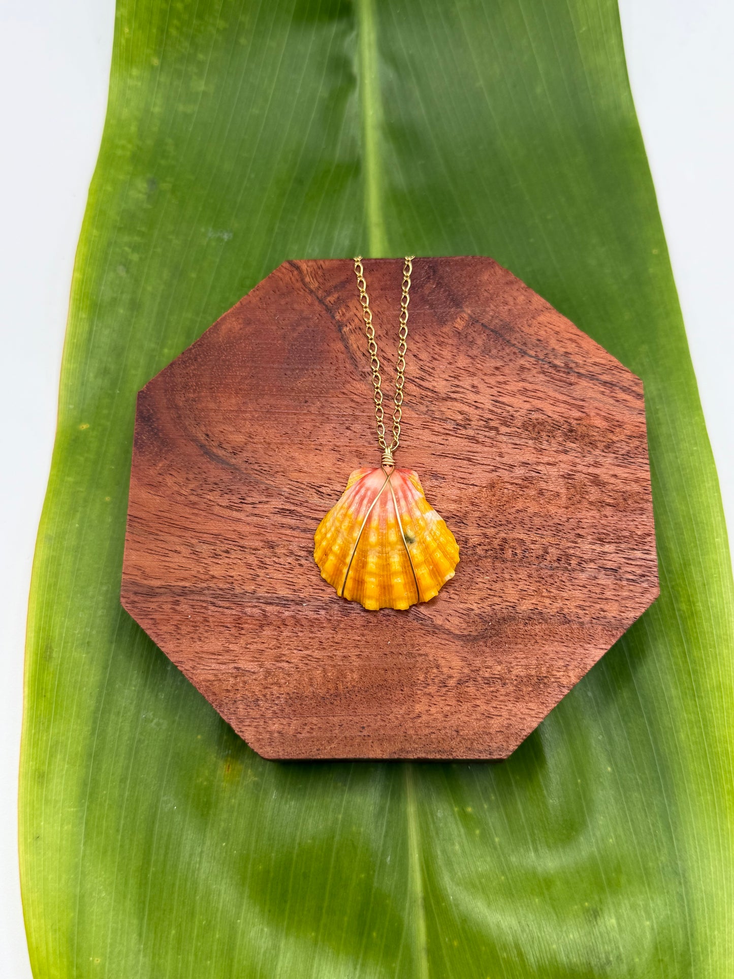 Sunrise Shell Necklace