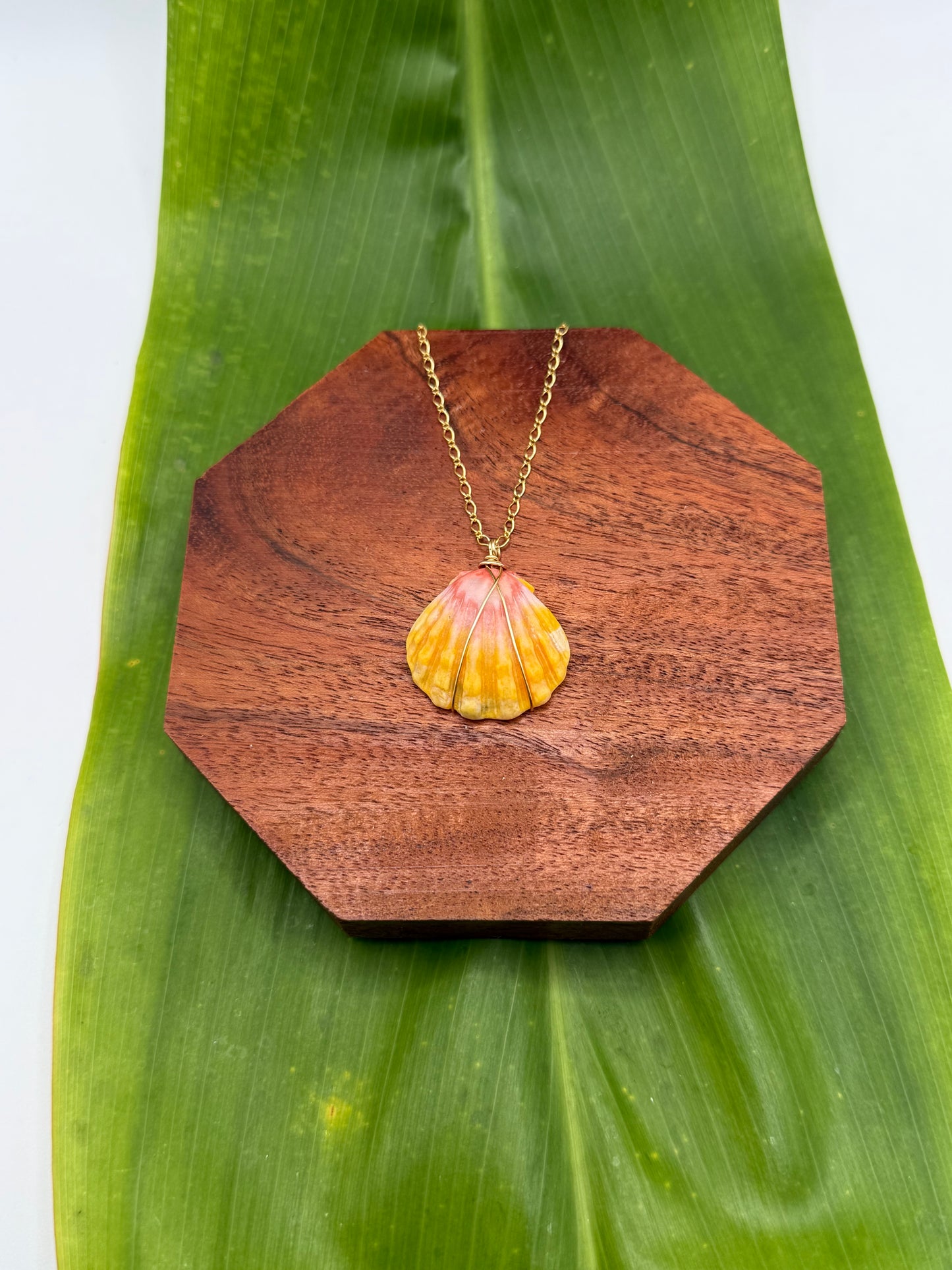 Sunrise Shell Necklace