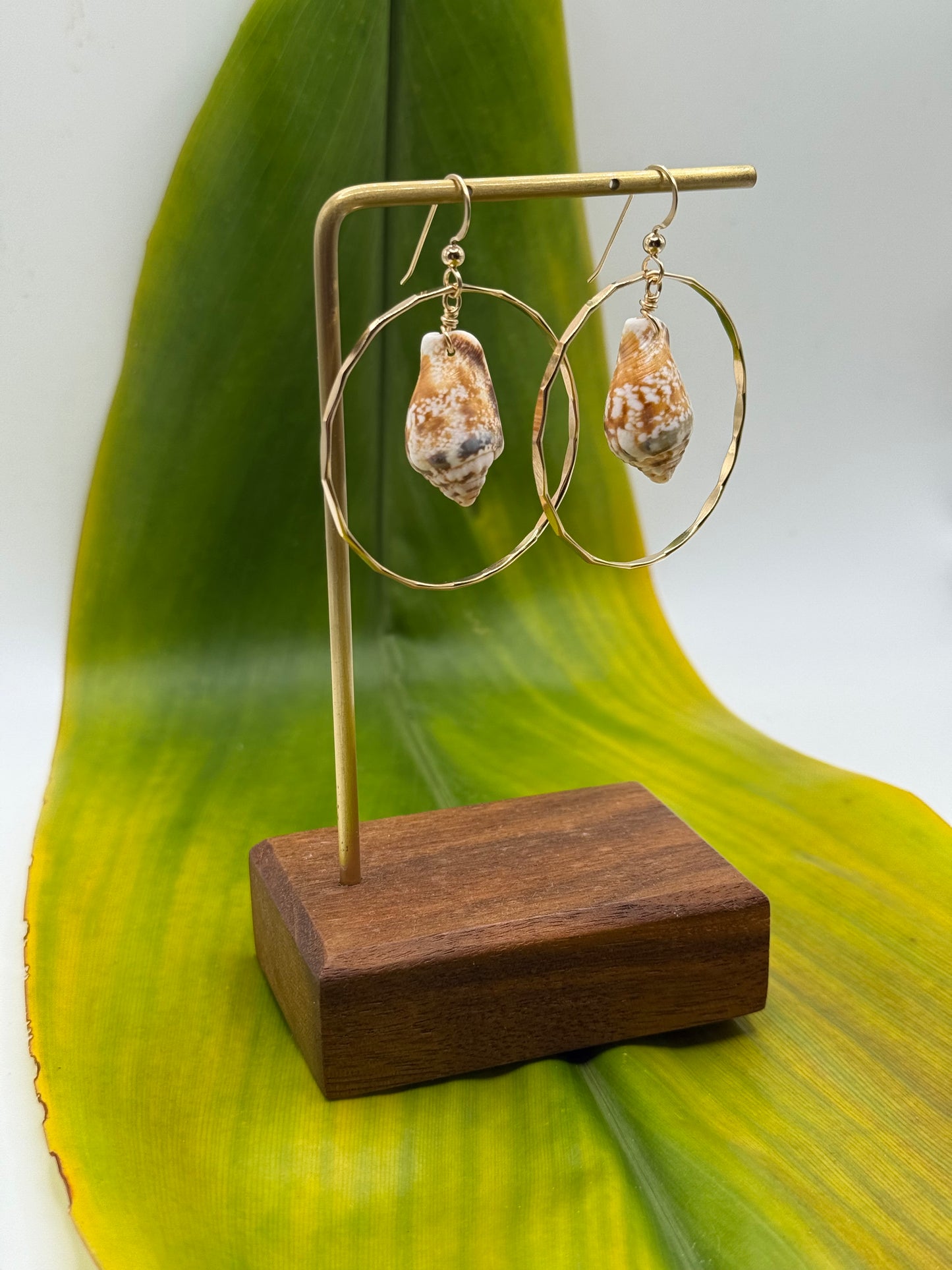 Cone Shell in Hoops Medium