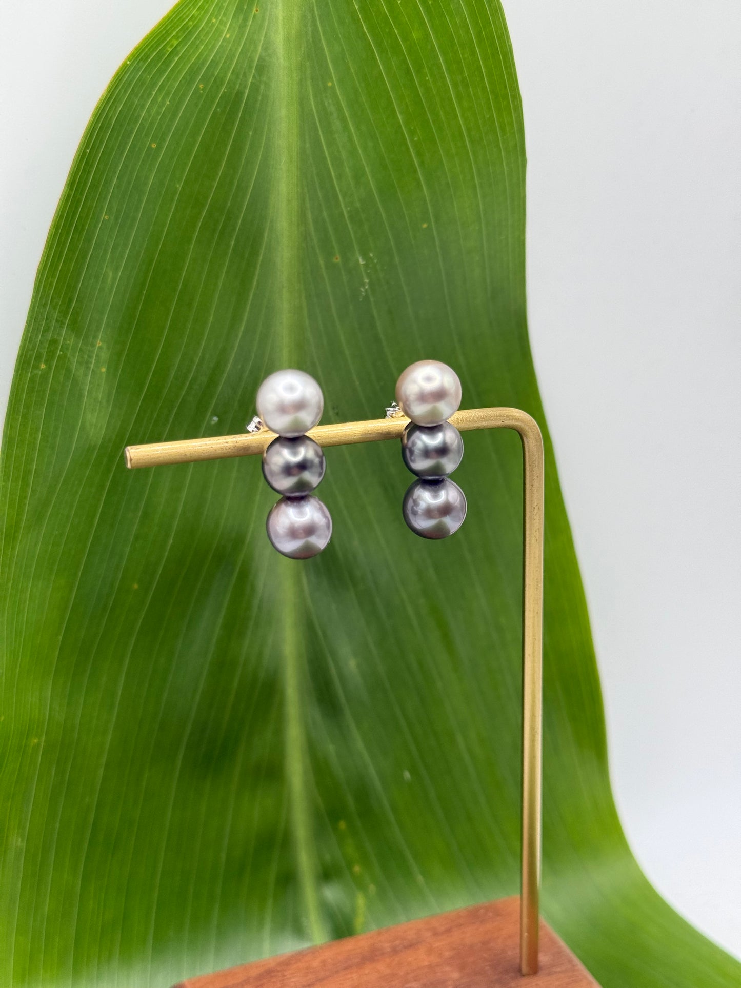 Triple Tahitian Pearl Studs