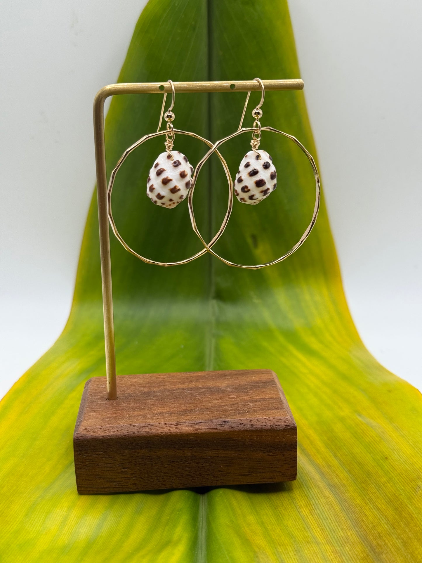 Cone Shell in Hoops Medium
