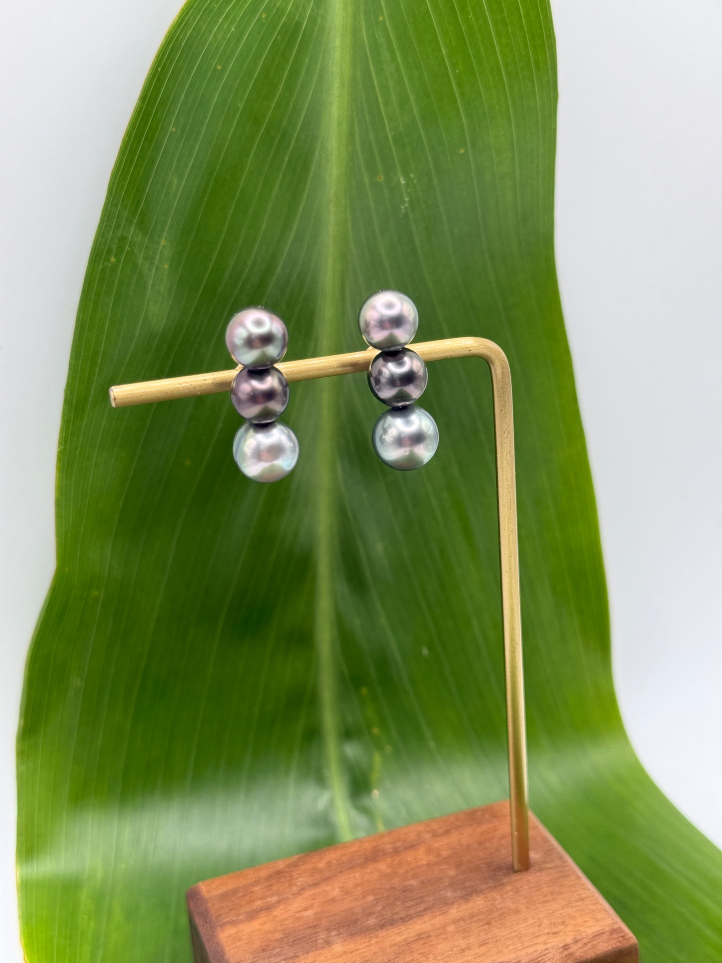 Triple Tahitian Pearl Studs