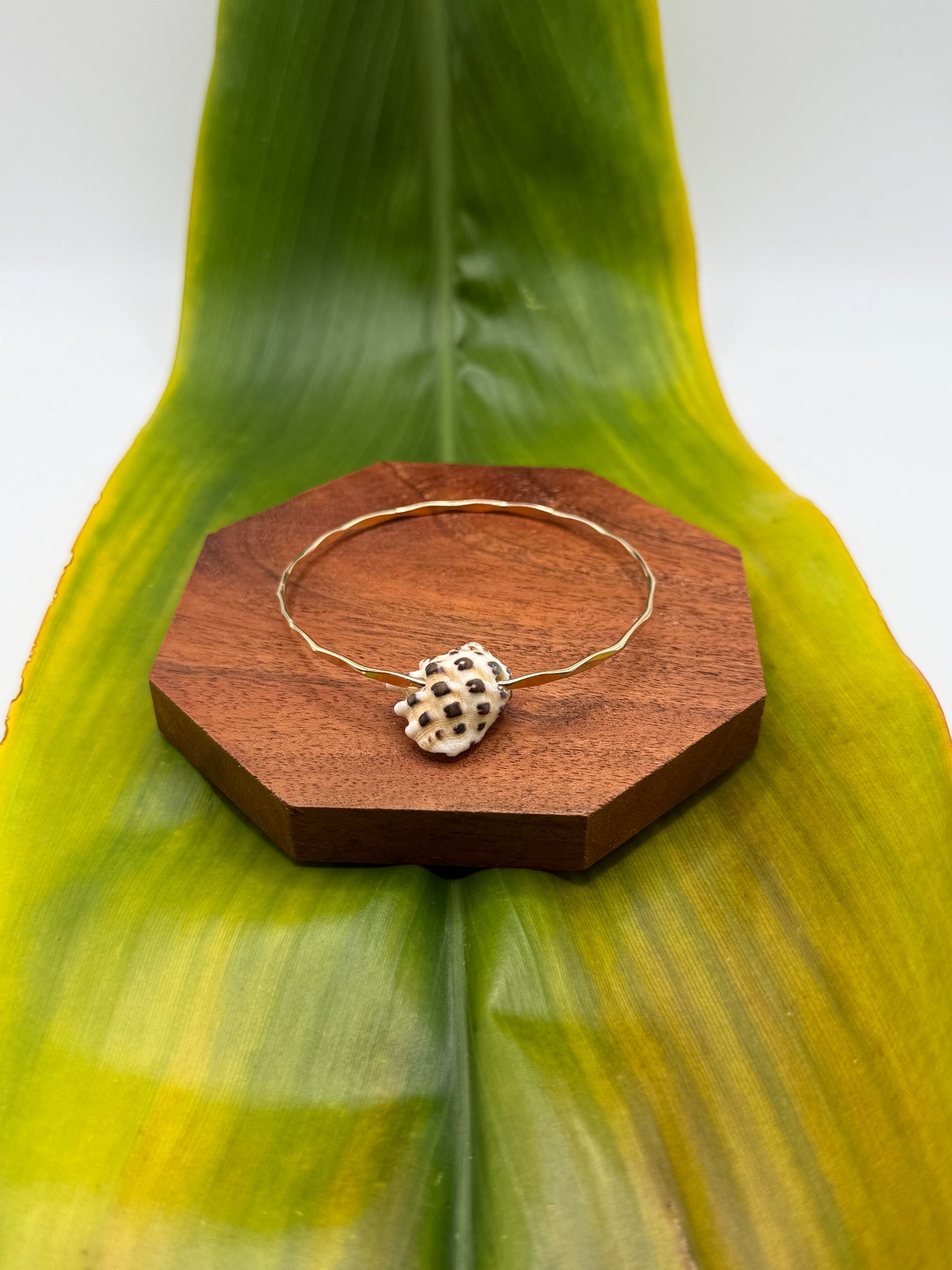 Tahitian Bangle Size 8" Gold Filled