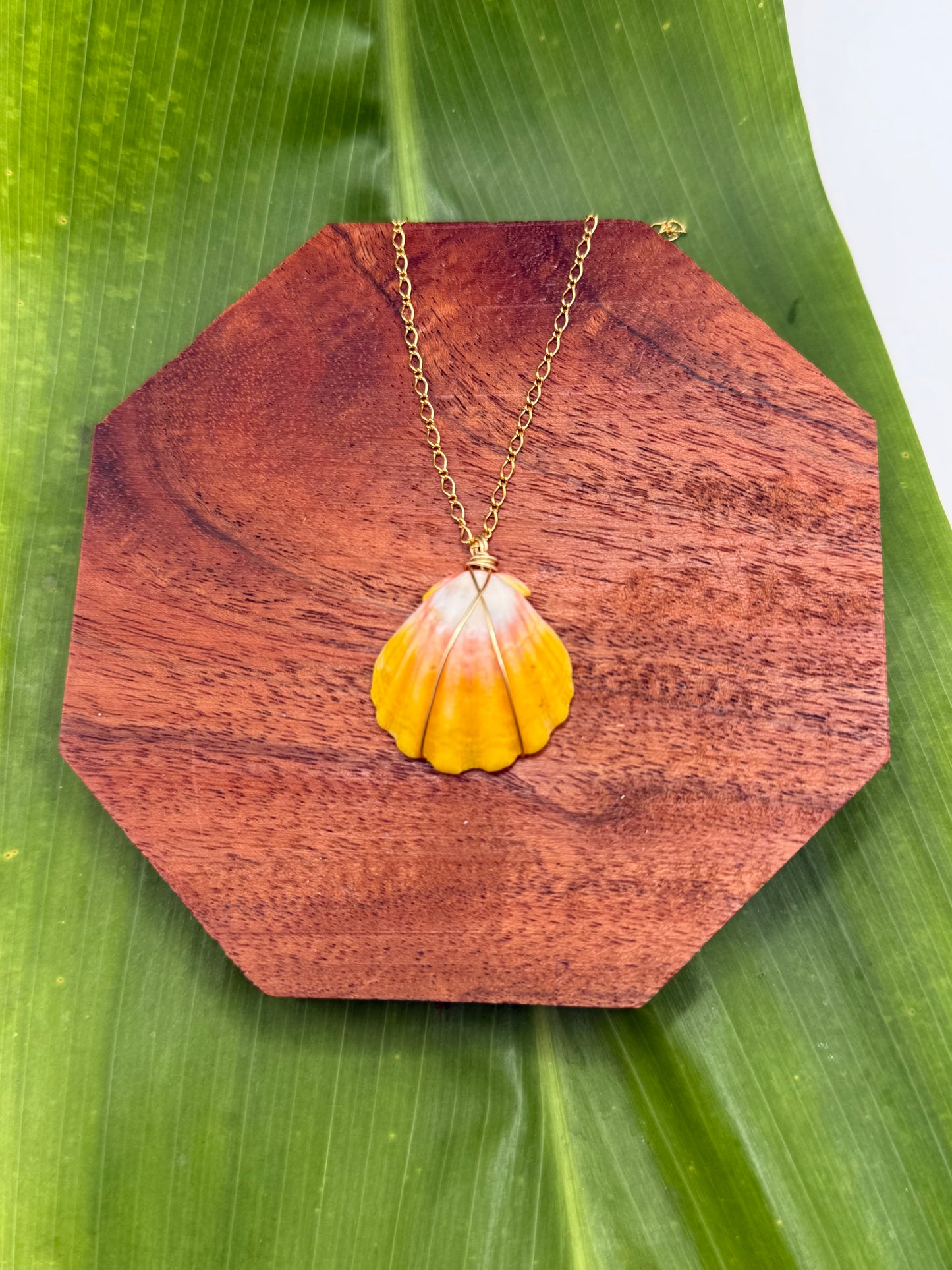 Sunrise Shell Necklace