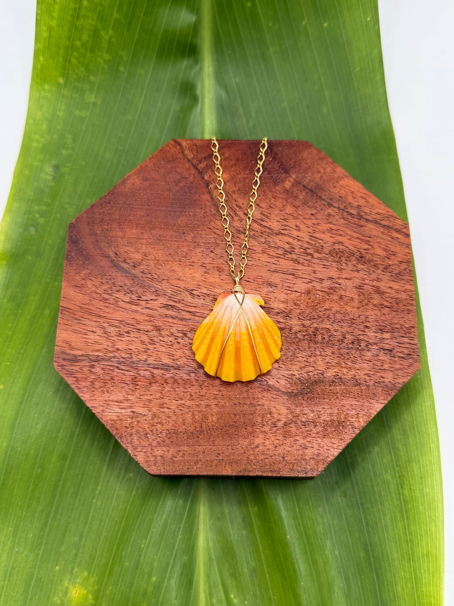 Sunrise Shell Necklace