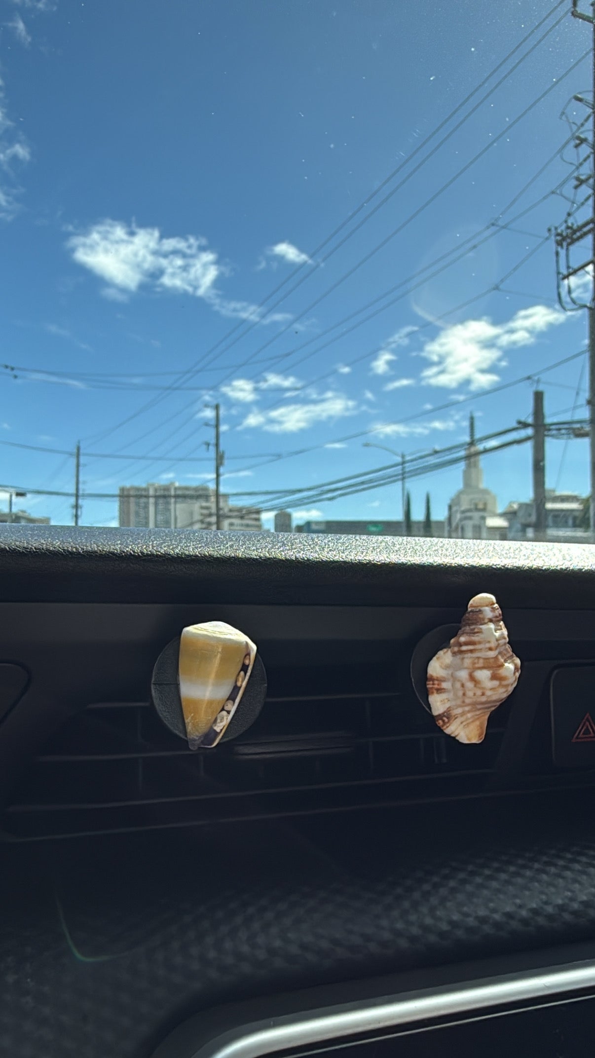 Shell Car Vent Clips