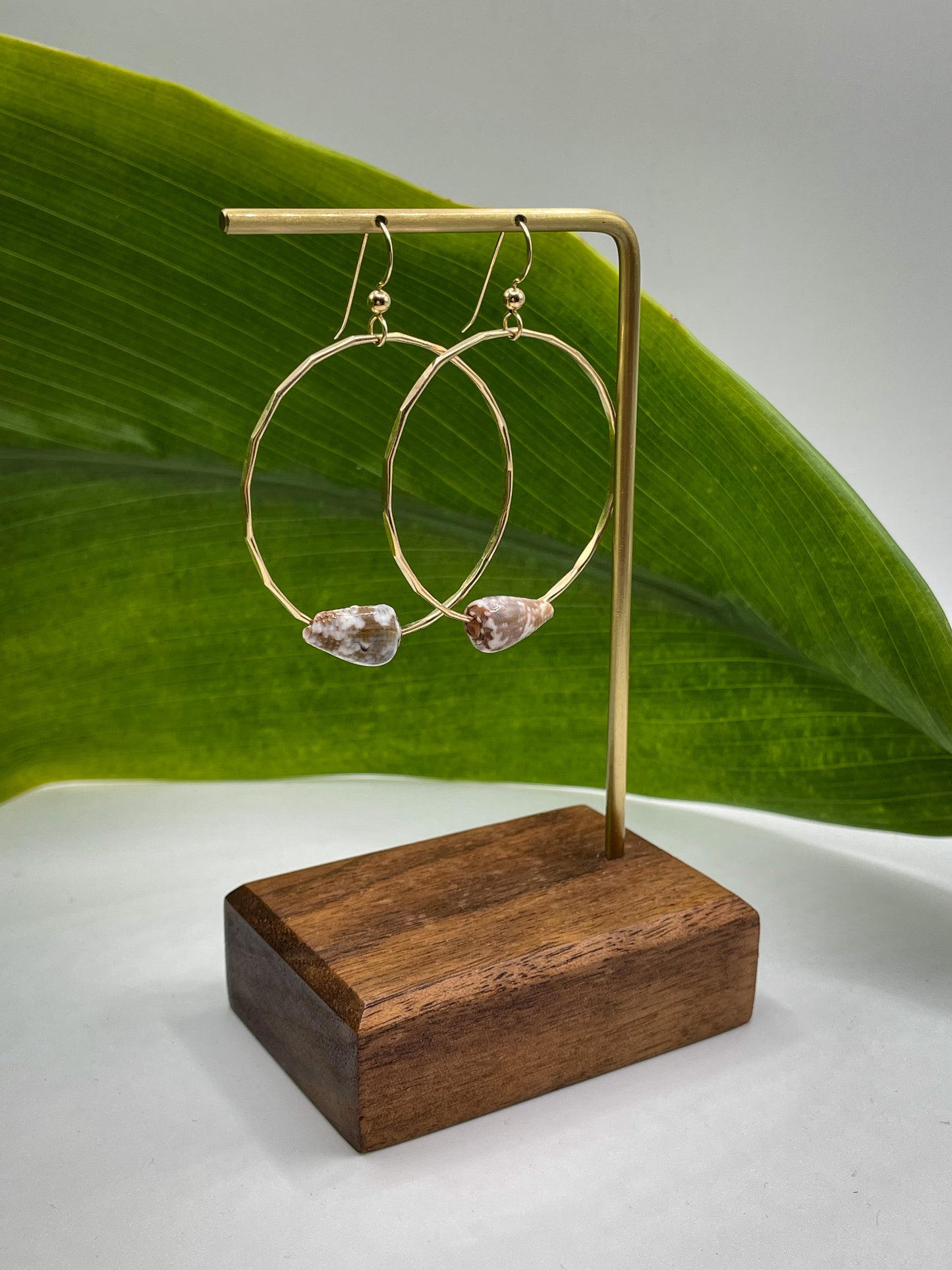 Cat Cone Shell Hoops