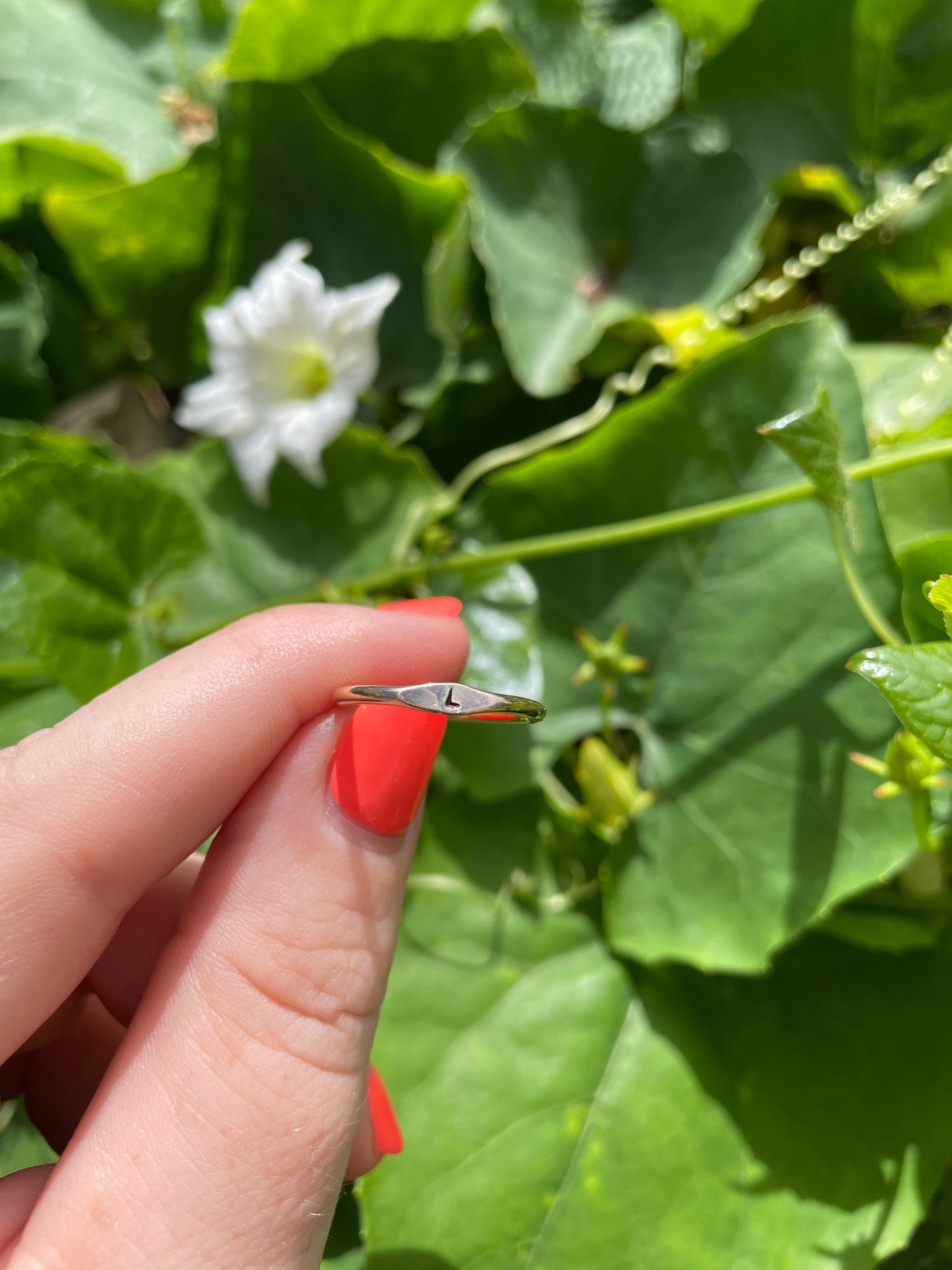 Tiny initial ring