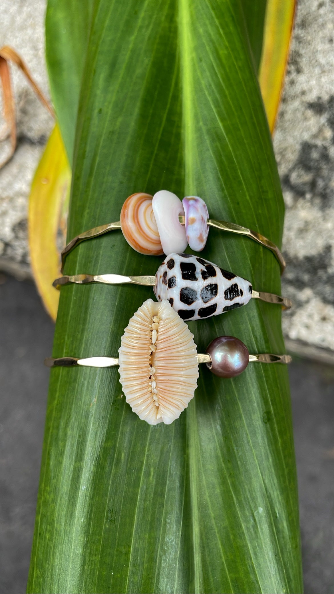 Hebrew Cone Shell Bangle Sterling Silver