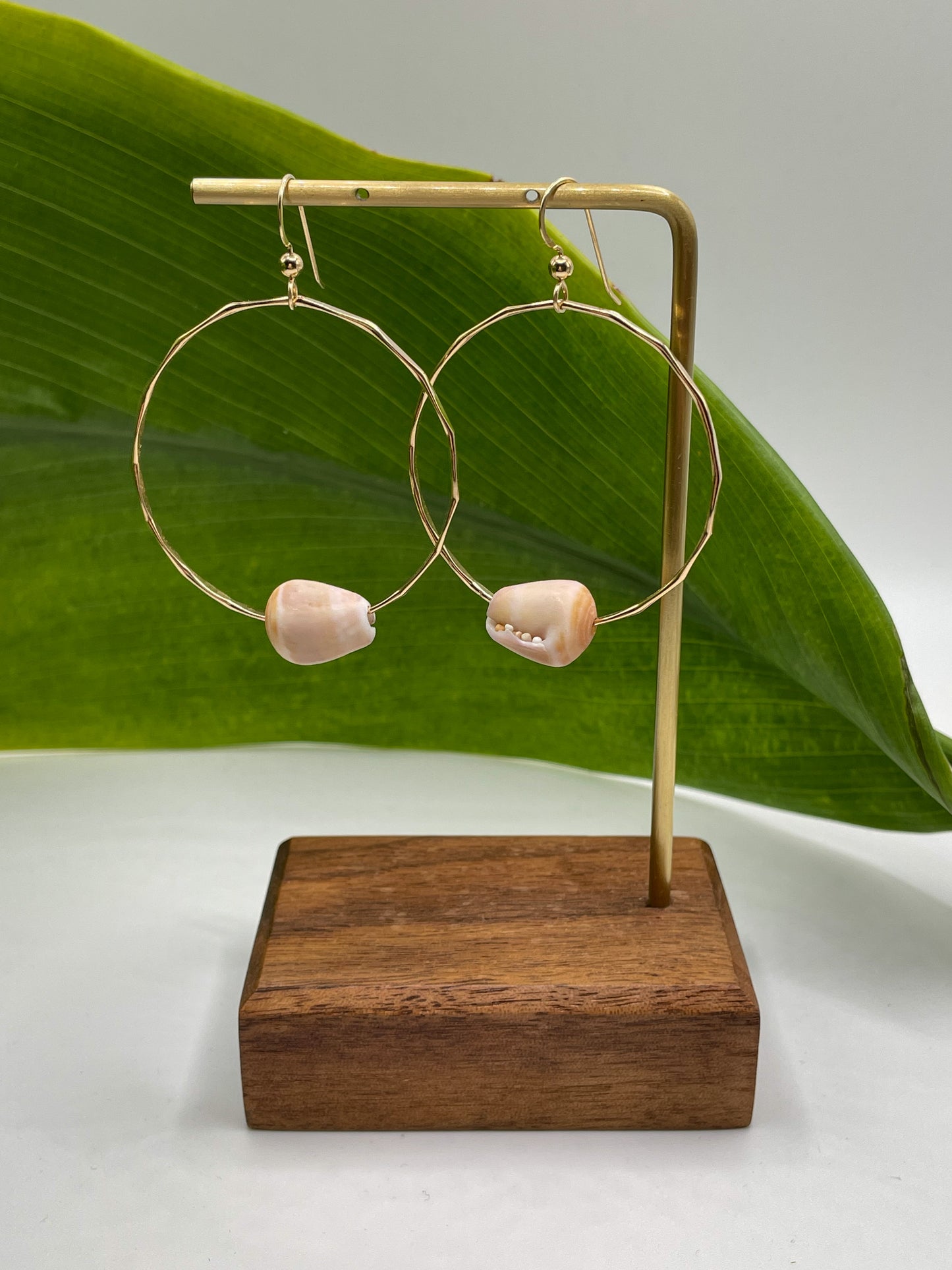Pastel Cone Shell Hoops